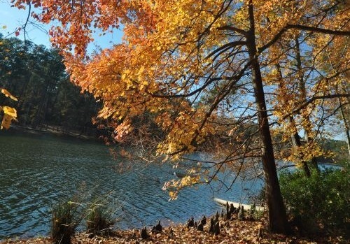 Deep East Texas Fall Foliage Trail